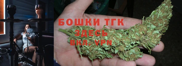 PSILOCYBIN Бугульма