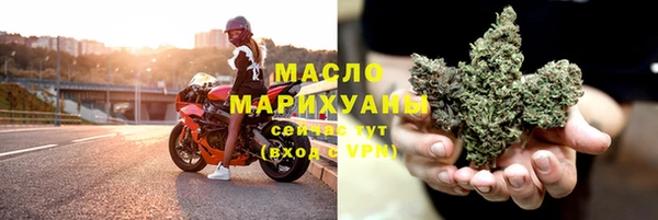 молекула духа Бородино