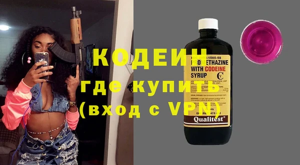 молекула духа Бородино