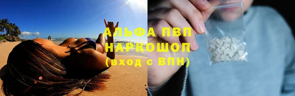 молекула духа Бородино