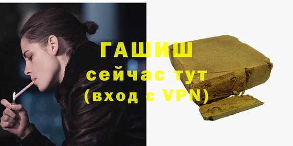 прущие грибы Сосновый Бор