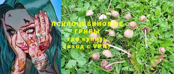 PSILOCYBIN Бугульма