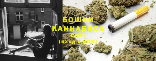 стаф Бронницы