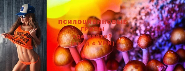 COCAINE Богородицк