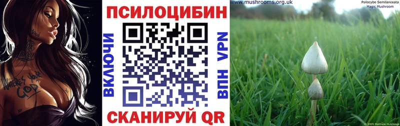 МЕГА   как найти наркотики  Юрюзань  Псилоцибиновые грибы Psilocybine cubensis 